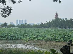 -云龙山