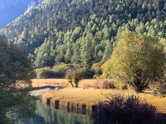 -稻城亚丁风景区-电瓶观光车售票处