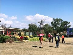 -上海长兴岛郊野公园