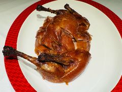 -圆苑(静安寺店)