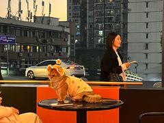 -龙湖重庆时代天街