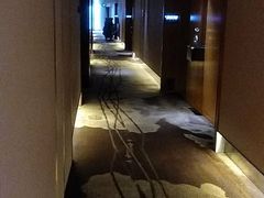 -成都明宇丽雅饭店