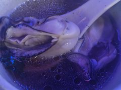 -千岛蚝高压锅生蚝·人参火锅(白云万达店)