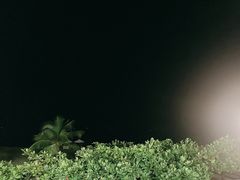 -渔家火锅·海鲜自助餐·演艺(亚龙湾天域酒店)