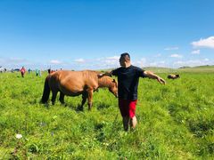 -塞罕坝国家级自然保护区