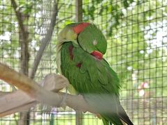 -水上乐园·欢乐世界