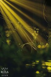 -天邑国际酒店·宴会厅