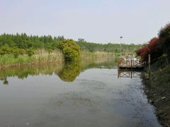 -明珠湖天鹅苑·农家菜馆