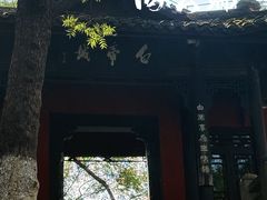 -白帝城·瞿塘峡景区