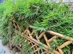 -桥岚·巷子鲜河豚鱼(专门店)