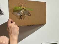 -上海昆虫博物馆