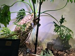 -J Create城市露营咖啡·简餐·宠物(上海动物园店)