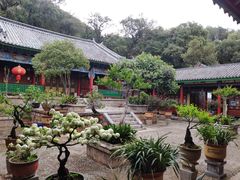 -黑龙潭公园
