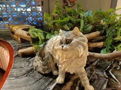-湘当爱·鲜煮现炒(松岗立业路店)
