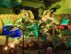 -恐龙探索乐园(磁器口店)