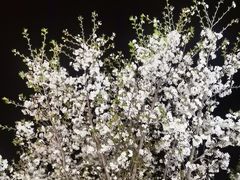 -三顾烤庐·烤鱼·烧烤·龙虾(奉贤店)