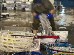 -中国舟山国际水产城