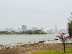-长广溪湿地公园