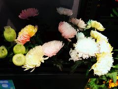 -盒马鲜生(189购物中心店)