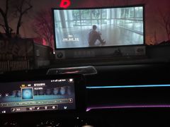 -枫花园汽车电影院(朝阳公园店)