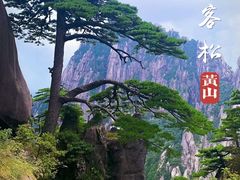 -黄山风景区