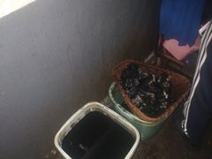 -五娭毑臭豆腐(黄兴南路店)