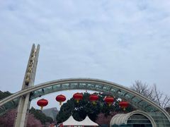 -南山植物园