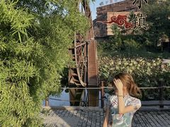 -茯茶镇
