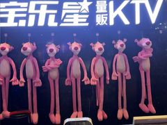 -宝乐星量贩KTV(莲升路店)