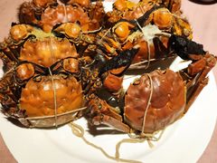 -杭州钱江新城万怡酒店-西餐厅