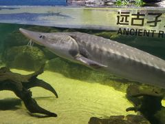 -江和美海洋公园
