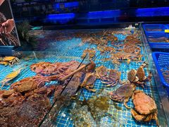 -驻海渔市(置信店)