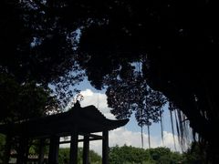 -东莞市可园博物馆