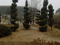 android_upload_pic-泰山花样年华景区