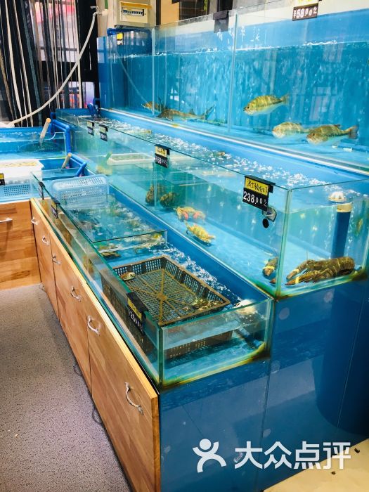 红鲜生海鲜店大堂图片 第13张