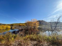 -洮儿河国家湿地公园