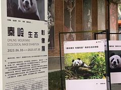 -西安电影制片厂