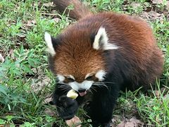 -合肥野生动物园