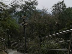 -大金鹰园