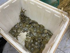 -蟹状元大闸蟹·年货·粽子(成都成华店)