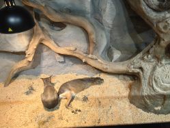 -Zoolung Zoolung动物主题公园(海信广场店)