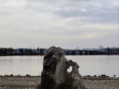 -东湖落雁景区