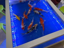 点击看大图 -meland亲子乐园•派对•研学(苏州悠方购物中心店)