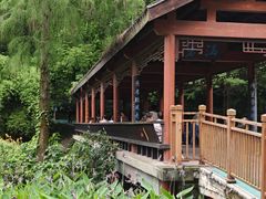 -重庆彩云湖湿地公园