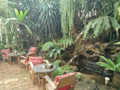 -Fern Forest Cafe