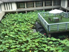 -绍兴鉴湖君澜大酒店