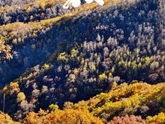 -灵山