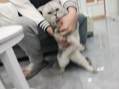 -爱洗澡的猫(天河路店)
