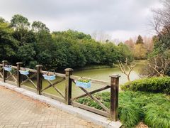 -上海海湾国家森林公园