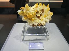 -湖南省地质博物馆